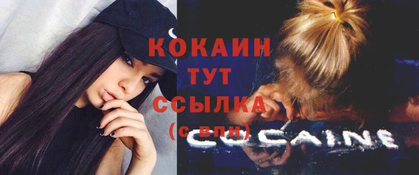 эйфоретик Белокуриха