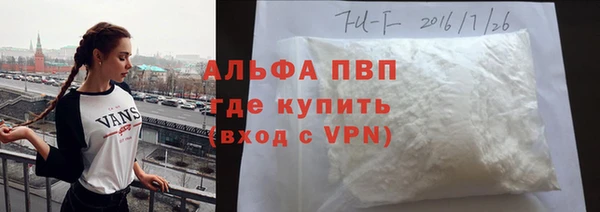 эйфоретик Белокуриха