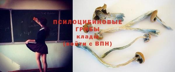 дурь Белоозёрский