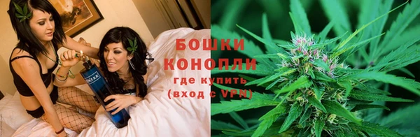 эйфоретик Белокуриха